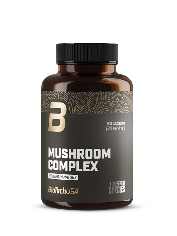 Mushroom Complex – 60 Kapsula